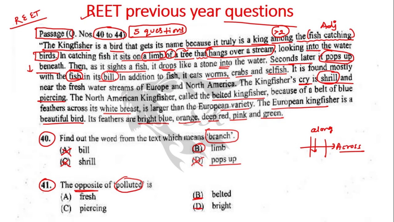 REET previous year question paper-1