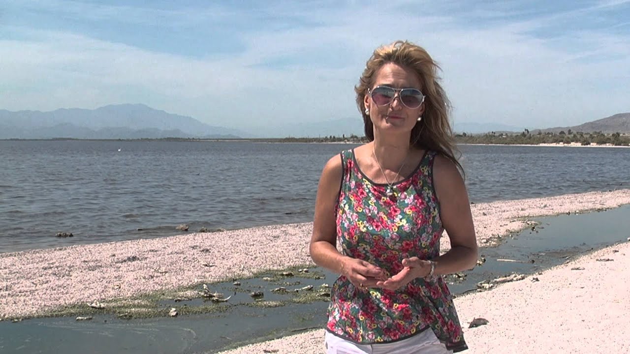 The Enigma of the Salton Sea, California