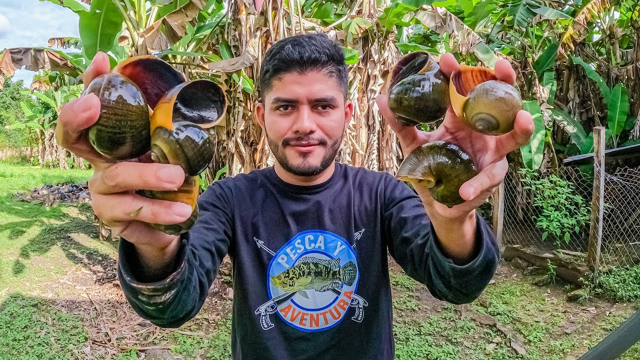 Pesca y Ceviche De Caracol De Laguna