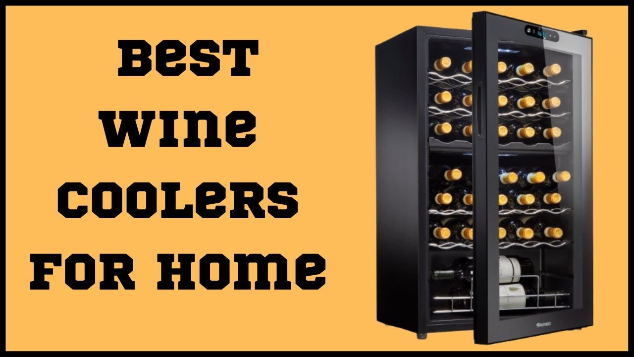 The Best Wine Coolers For Home in 2023