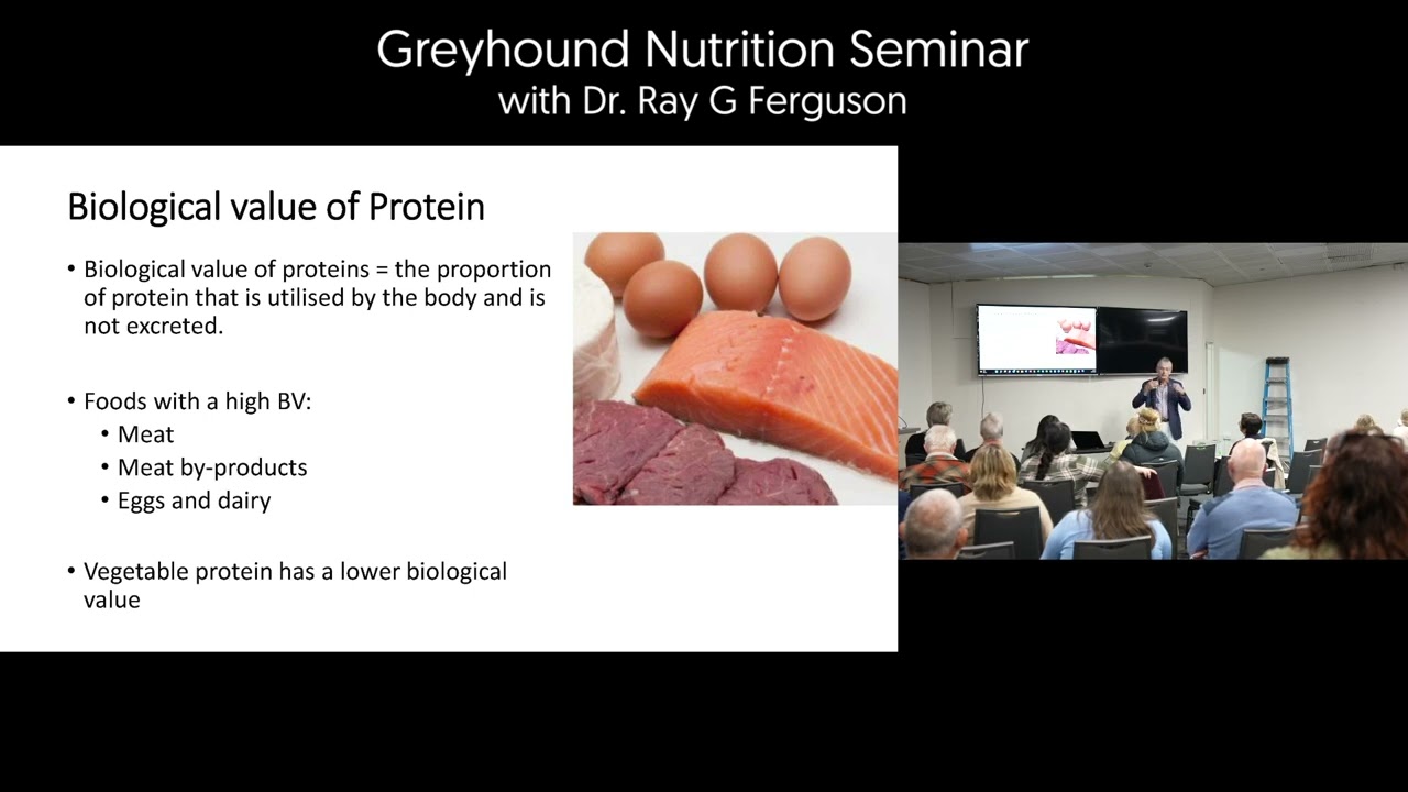 Greyhound Nutrition Seminar - Dr. Ray G Ferguson