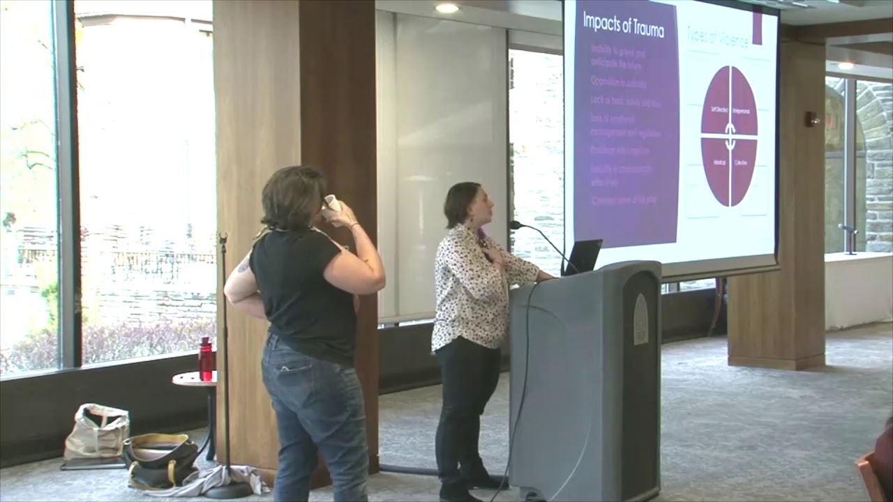 Trauma-Informed Organizations in a Survivor-Centered Movement
