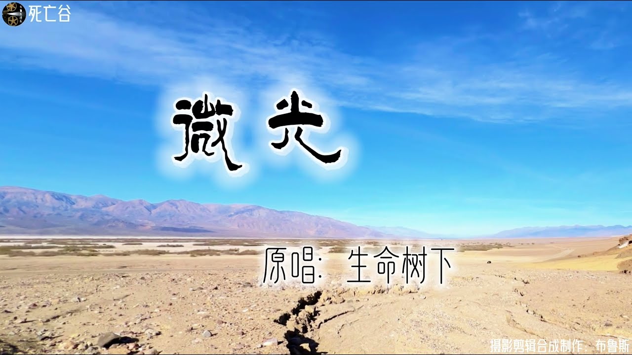 《微光》-生命树下 暗夜里.总有一束光会照亮你的脚步…！实景拍摄死亡谷国家公园自然景色。