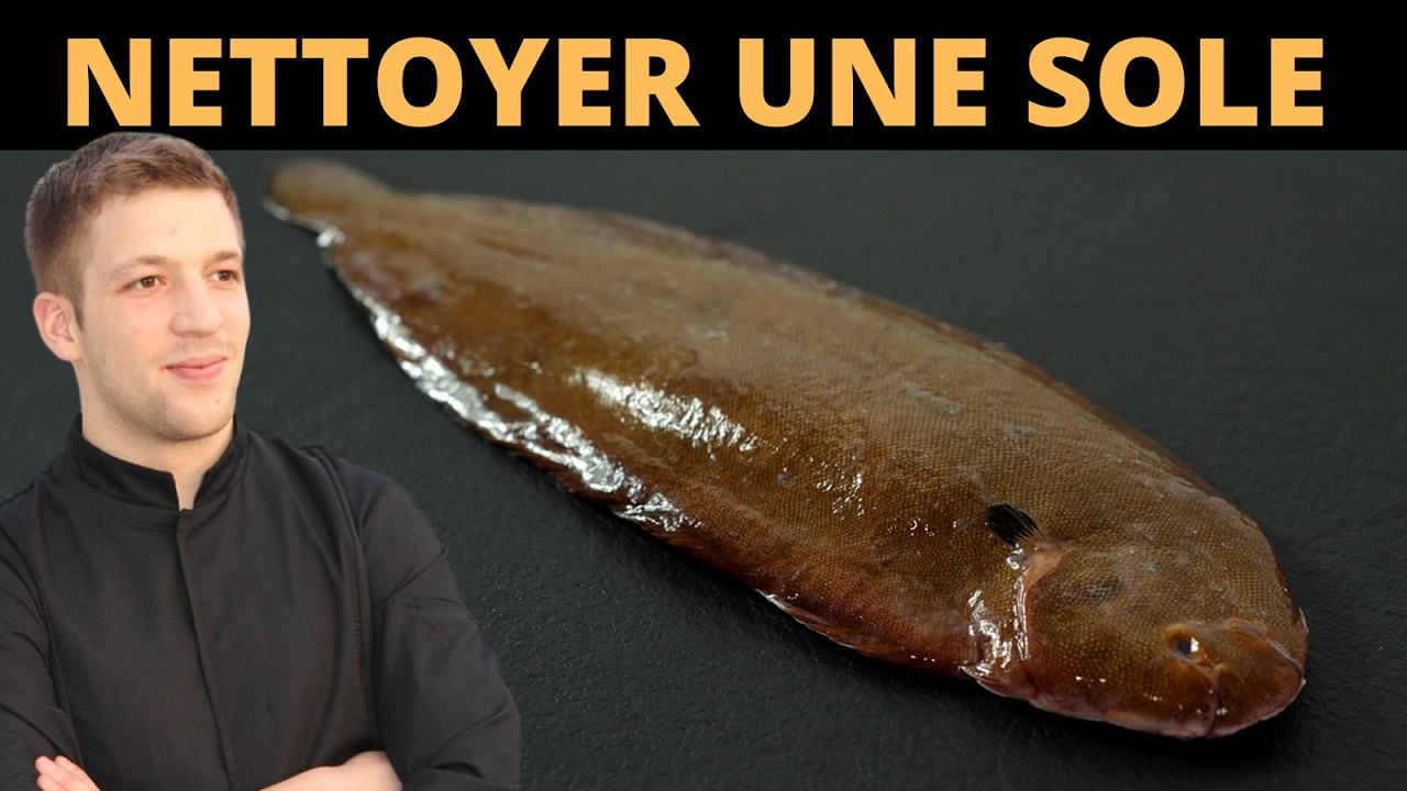 Comment nettoyer et vider une SOLE