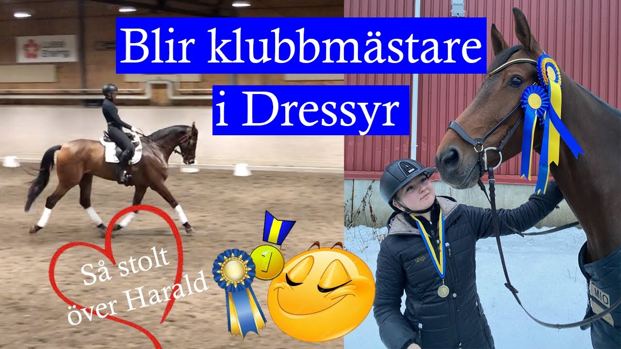 Klubbmästerskap i Dressyr