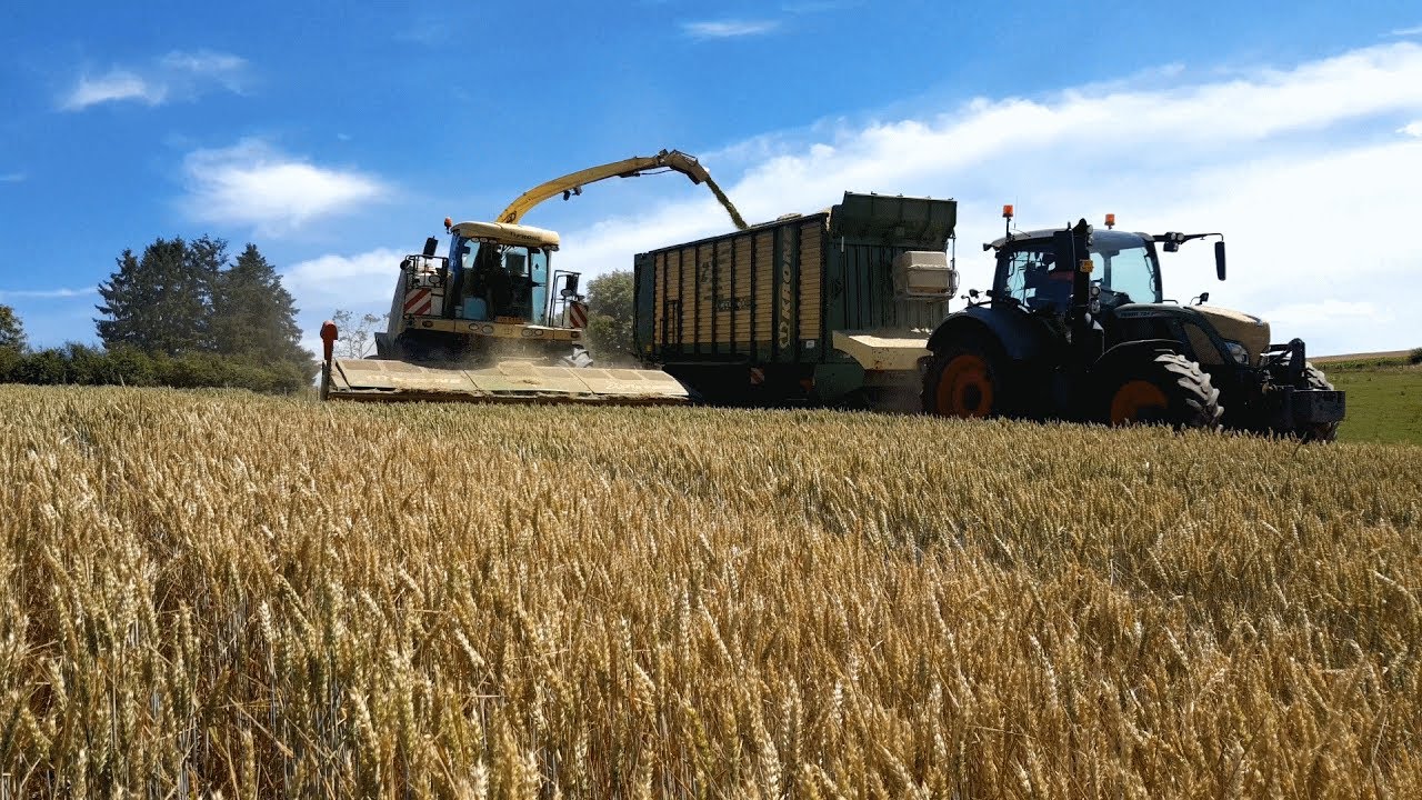LU Reiff-Beaufort | GPS H&auml;ckseln | Krone Big X700 | Fendt