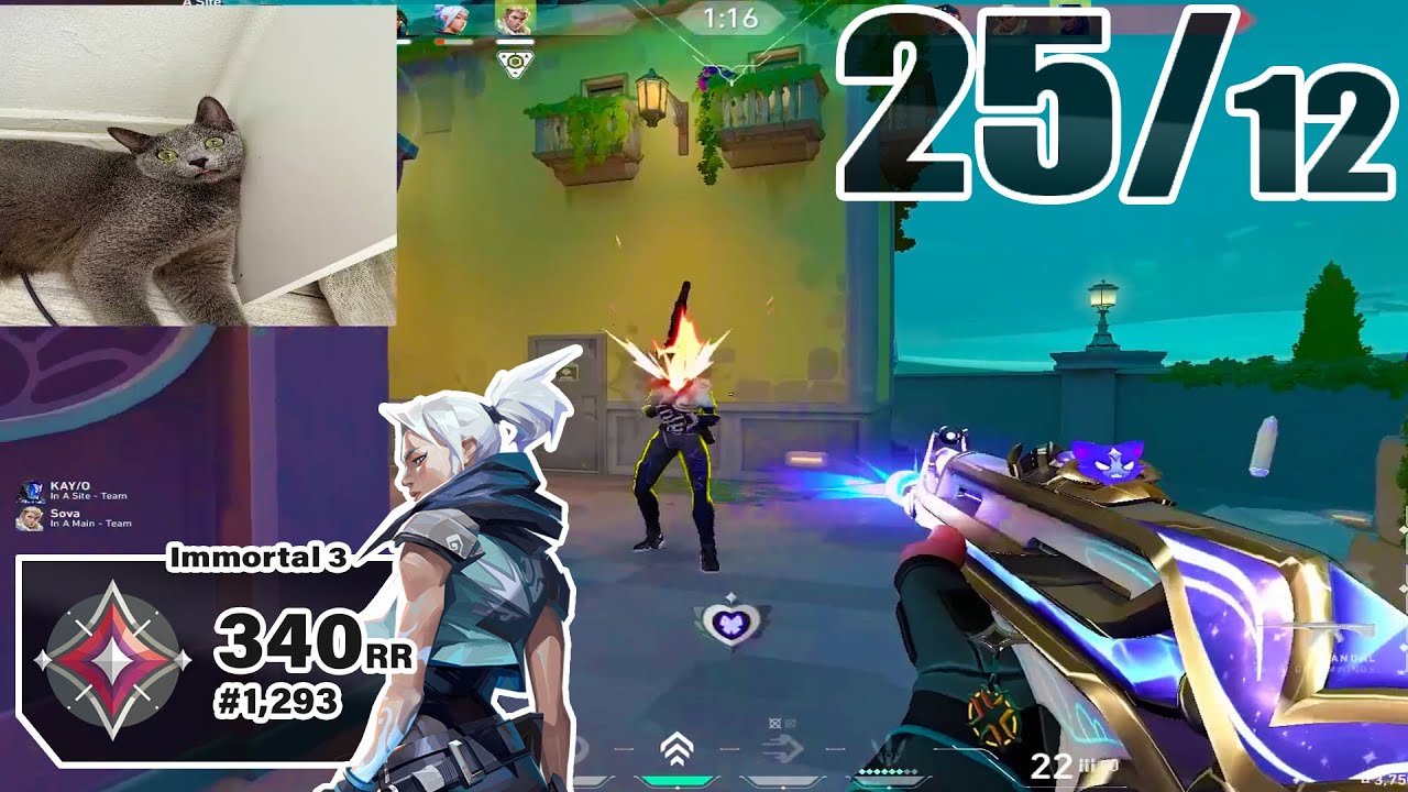 So GOOD He Can Play Anything! - FNATIC Chronicle [EU]