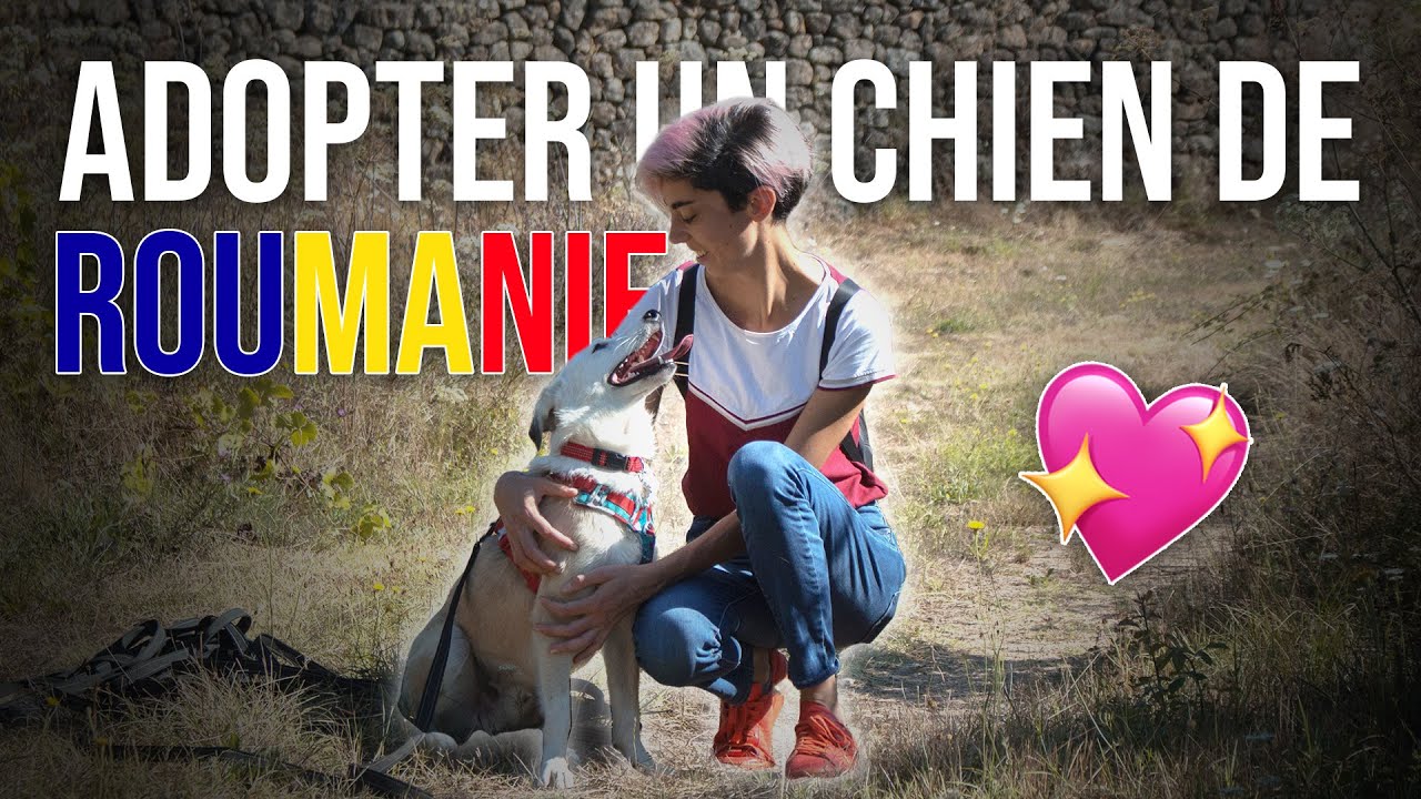 J'AI ADOPTÉ UN CHIEN DE ROUMANIE 🇷🇴💖🐕