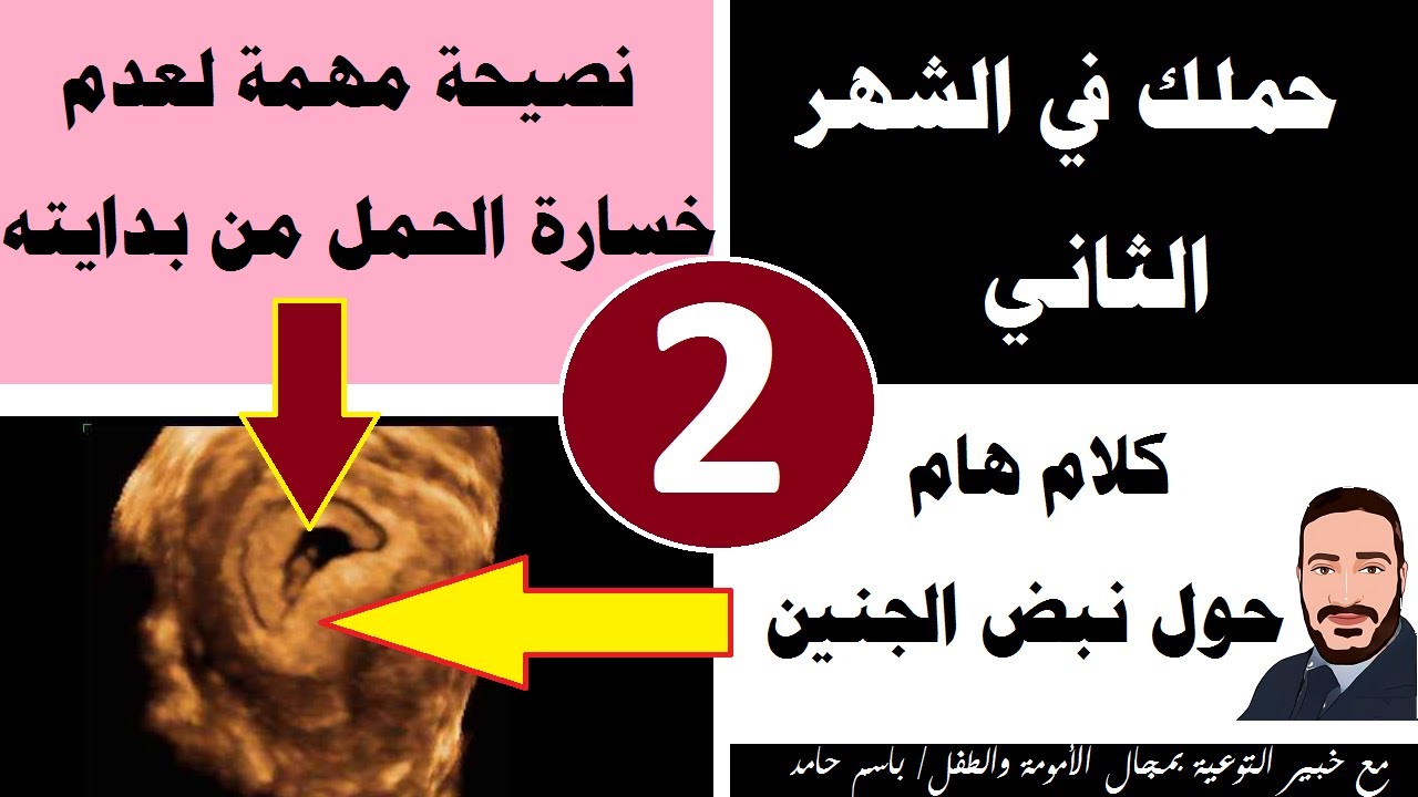 حملك في الشهر الثاني وكلام هام حول نبض الجنين ونصيحة بالغة الأهمية لعدم خسارة الحمل من بدايته