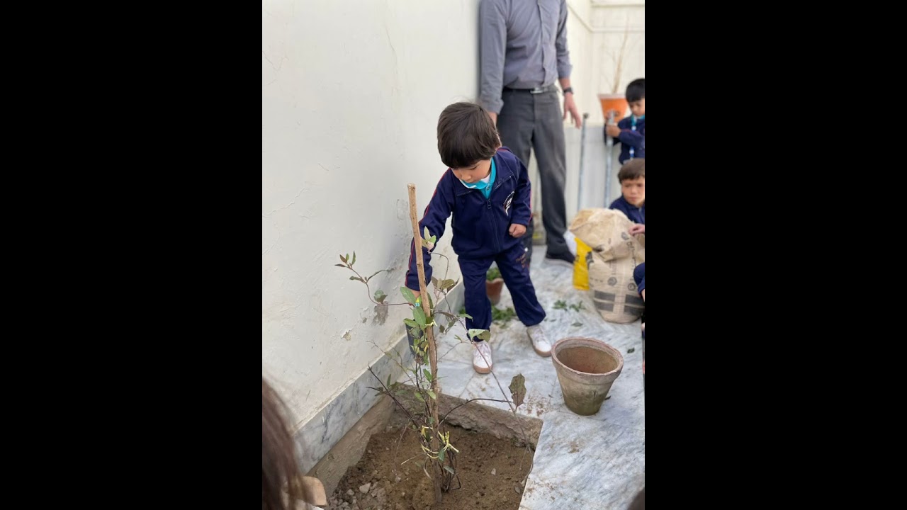 🌸🌼 Excitement blooming at The Learning Arena School's Spring Festival! 🌸🌼  Nursery students