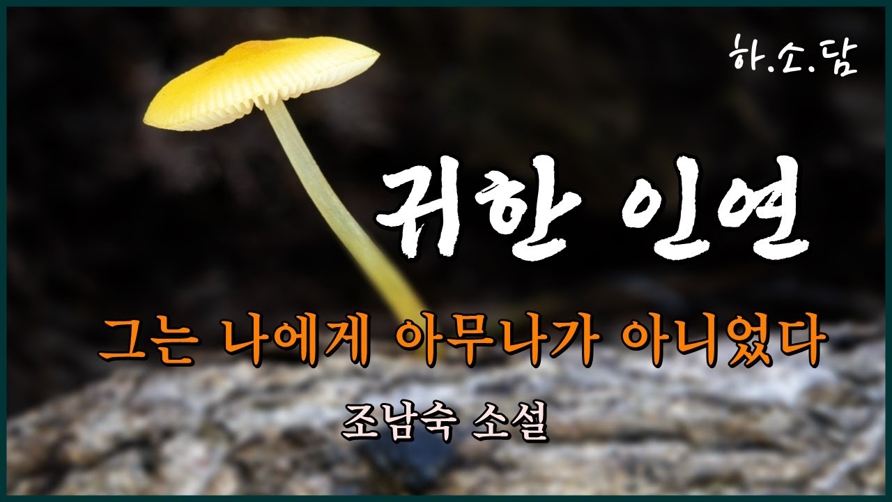 연하남과 결혼에 골인한 노처녀. 오피스텔에서 시작하는 러브스토리  [그는 나에게 아무나가 아니었다 - 조남숙 단편소설 ]  #하소담오디오드라마