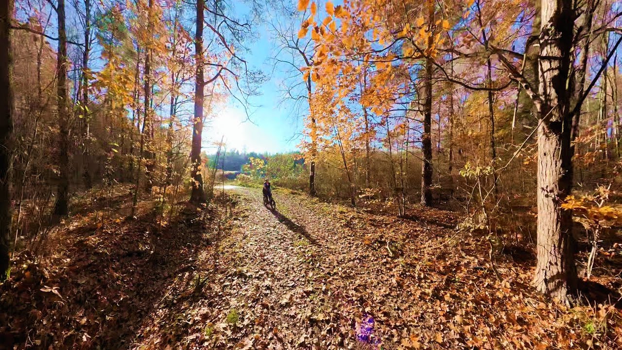 Szczejkowice, Palowice