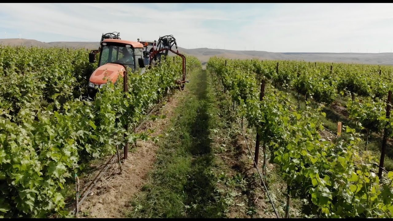 Rise of the machines: How one grower is using machines through the seasons