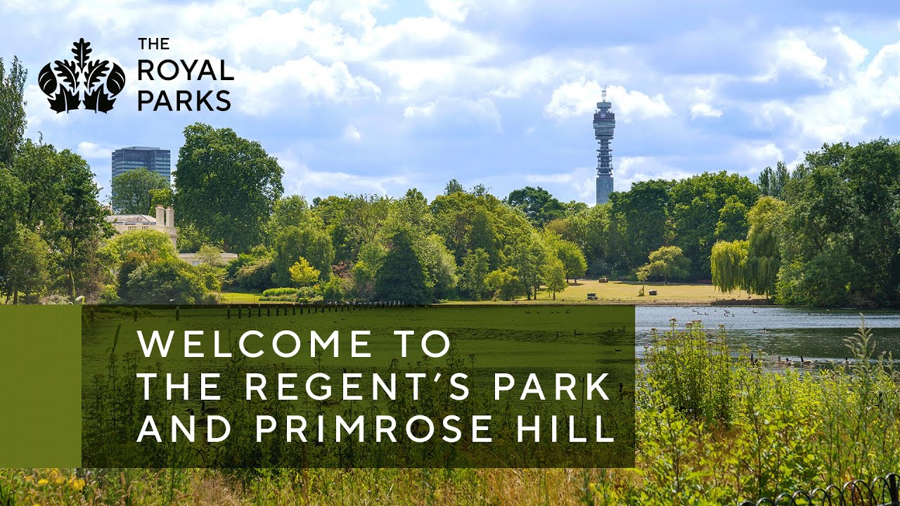 Discover The Regent&rsquo;s Park & Primrose Hill, one of London&rsquo;s Royal Parks