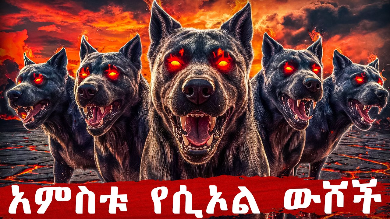 አምስቱ የሲኦል ውሾች - የመጽሐፍ ቅዱስ ታሪክ - @meba-tv - Eotc tv - ስንክሳር - ገድል