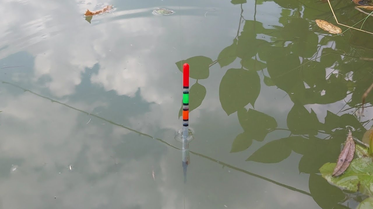 Pescuit la PLUTĂ cu viermi - 70 Pești in 2 ore Incredibil Super Activitate !🎣