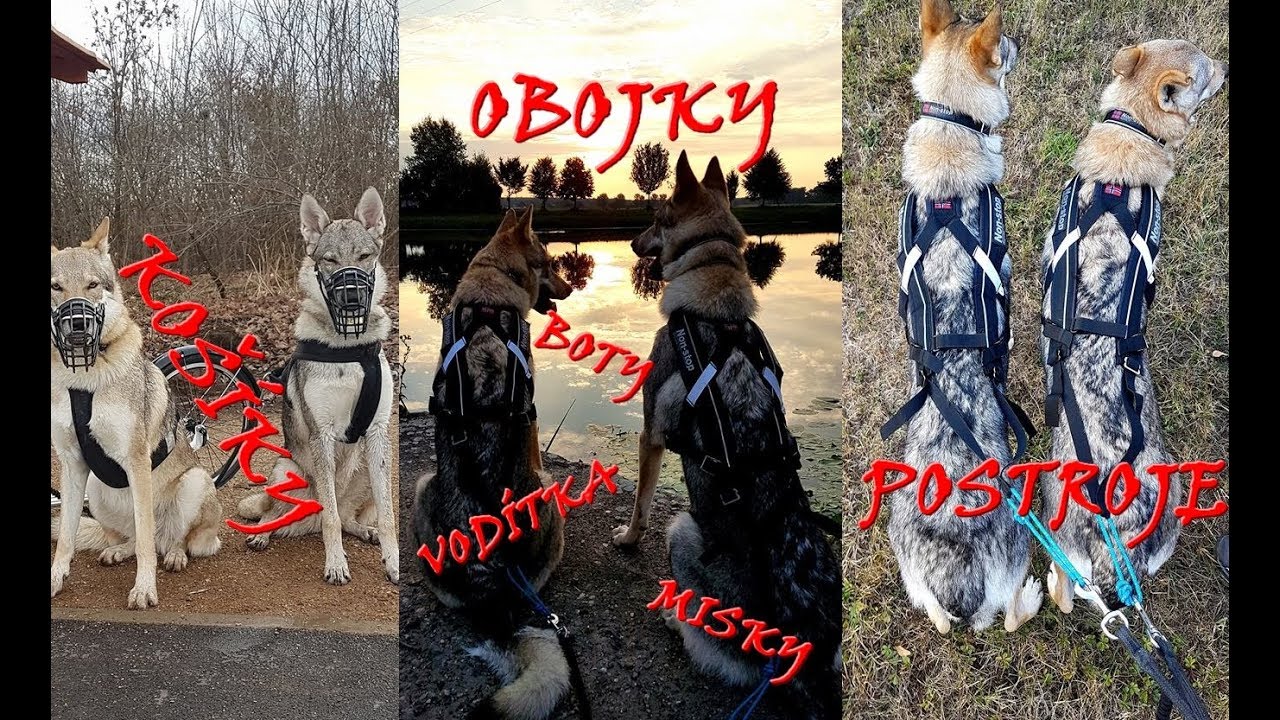 Moje výbava pro ČSV