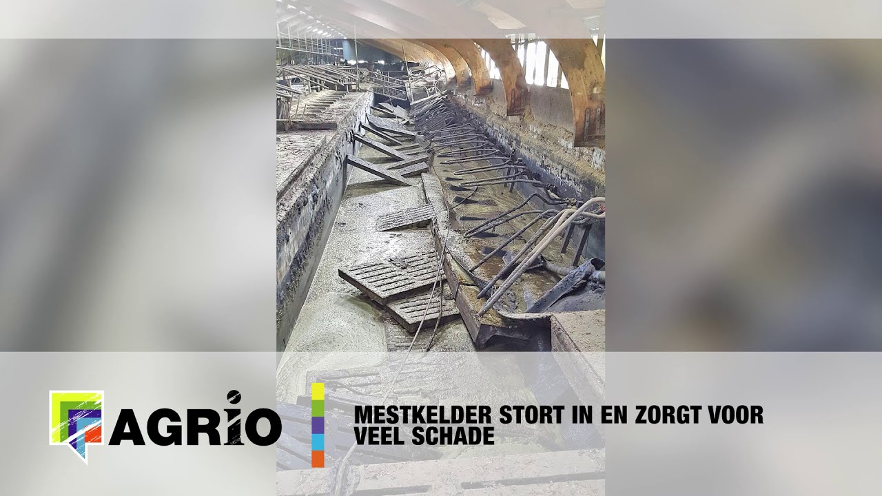 Mestkelder stort in en zorgt voor veel schade