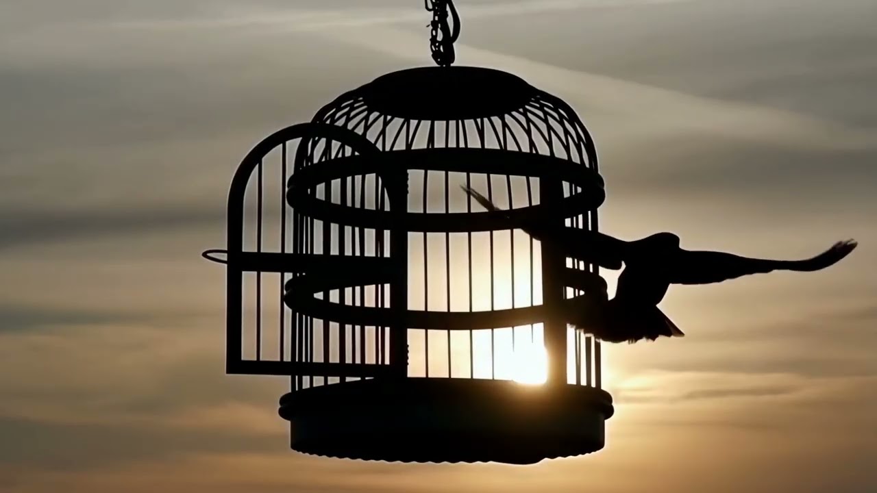 Viens dans ma vie – un chant / message pour ouvrir ton cœur à Jésus