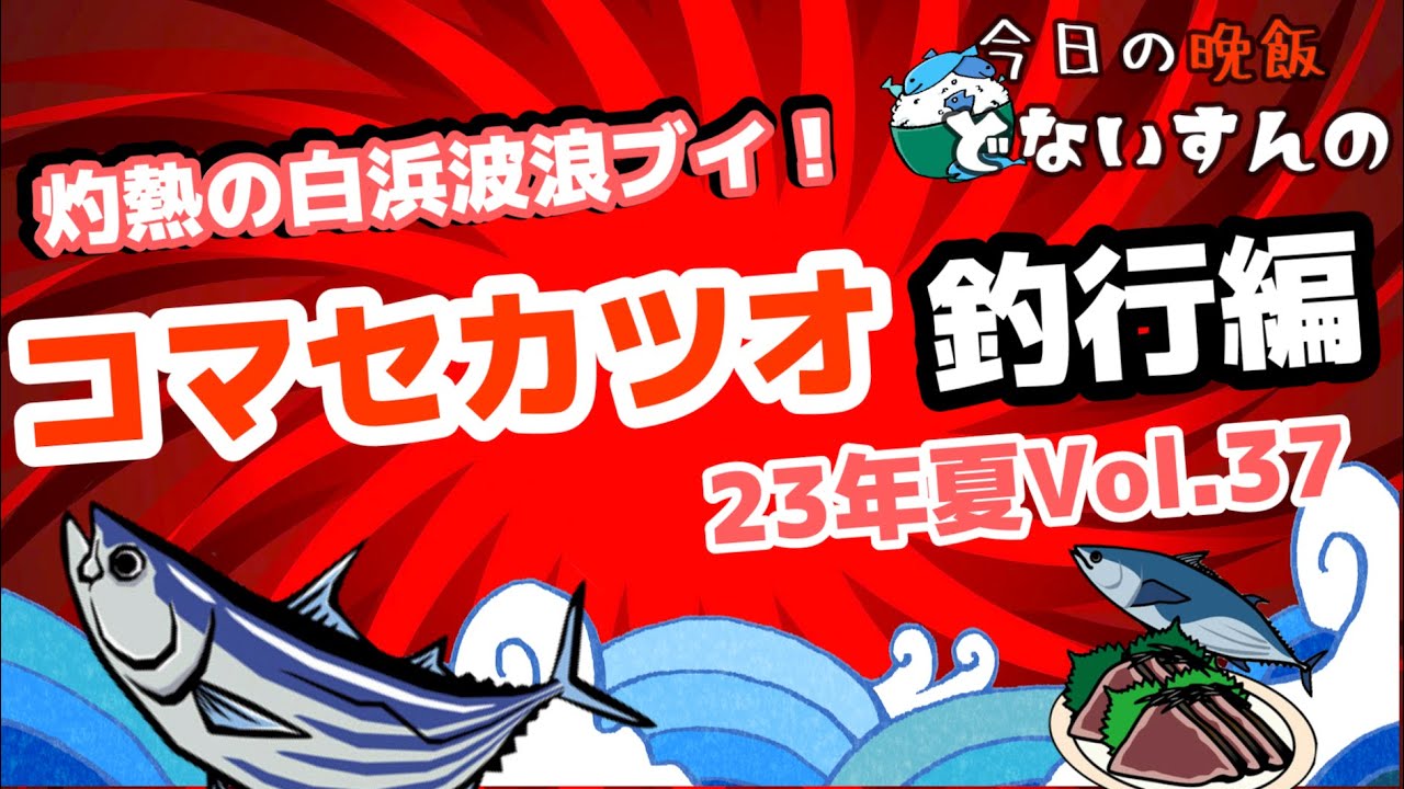 【カツオ釣り】南紀白浜 代々丸さんでコマセカツオ！人気船は何かが違う！！