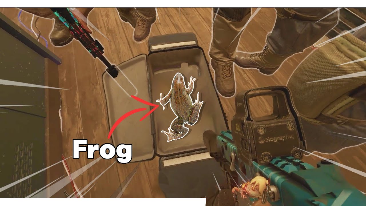 This Rainbow 6 Siege Video is VERY STUPID