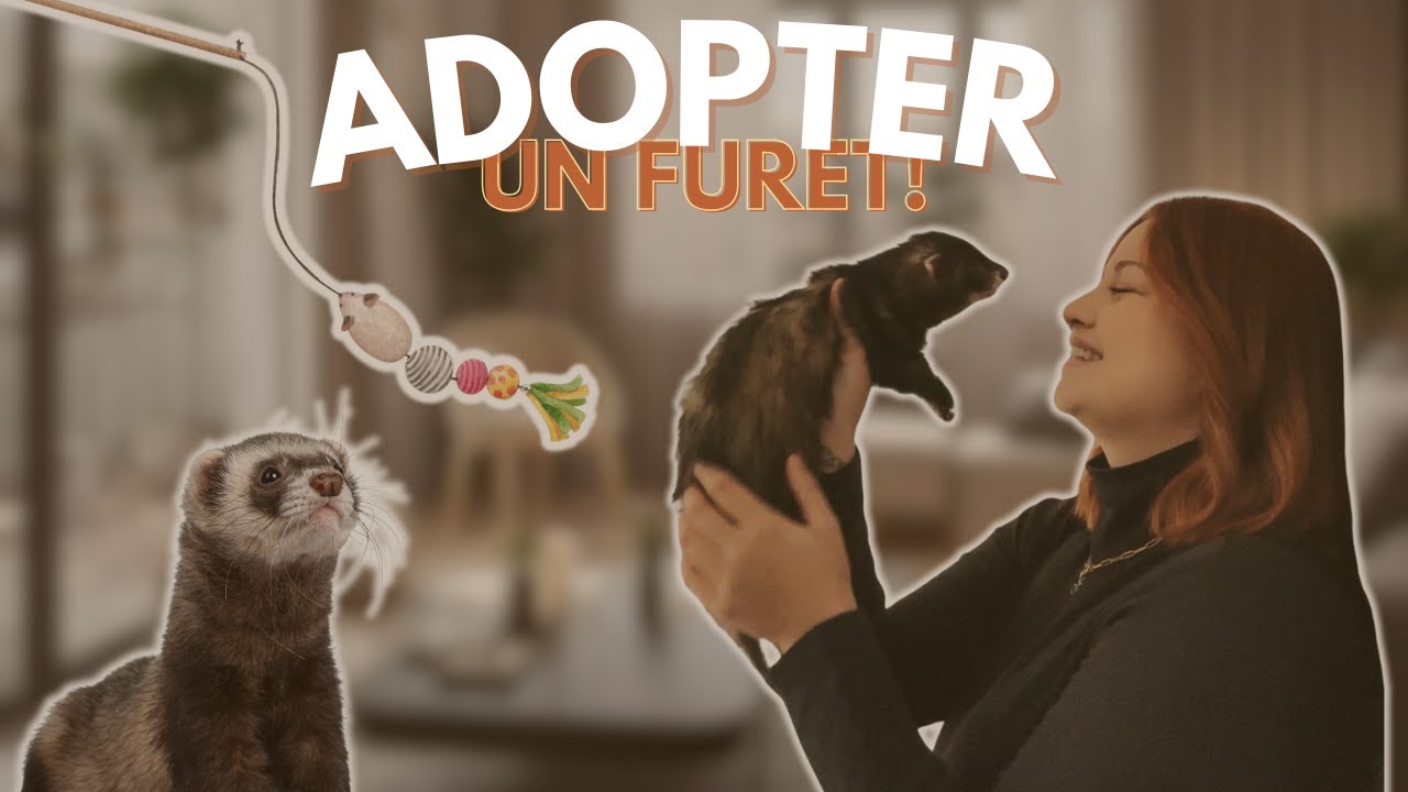 Parlons peu, parlons bien , parlons FURET