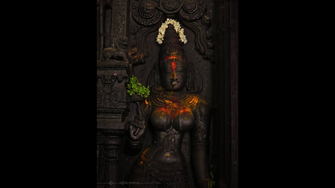 KALAMANDALAM NIMMI MOHINIYATTAM CHOLKETTU CHARANAM 4TH  PART