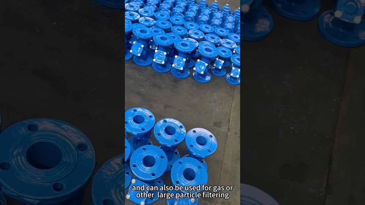 dn65 Cast iron Y-strainer