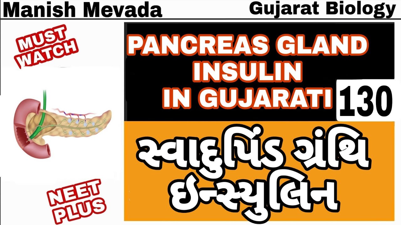 PANCREAS GLAND
INSULIN In Gujarati || સ્વાદુપિંડ ગ્રંથિ
ઇન્સ્યુલિન