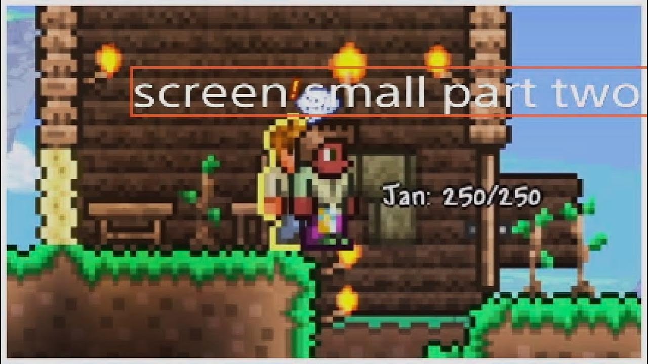 Im screen small in terreria part 2