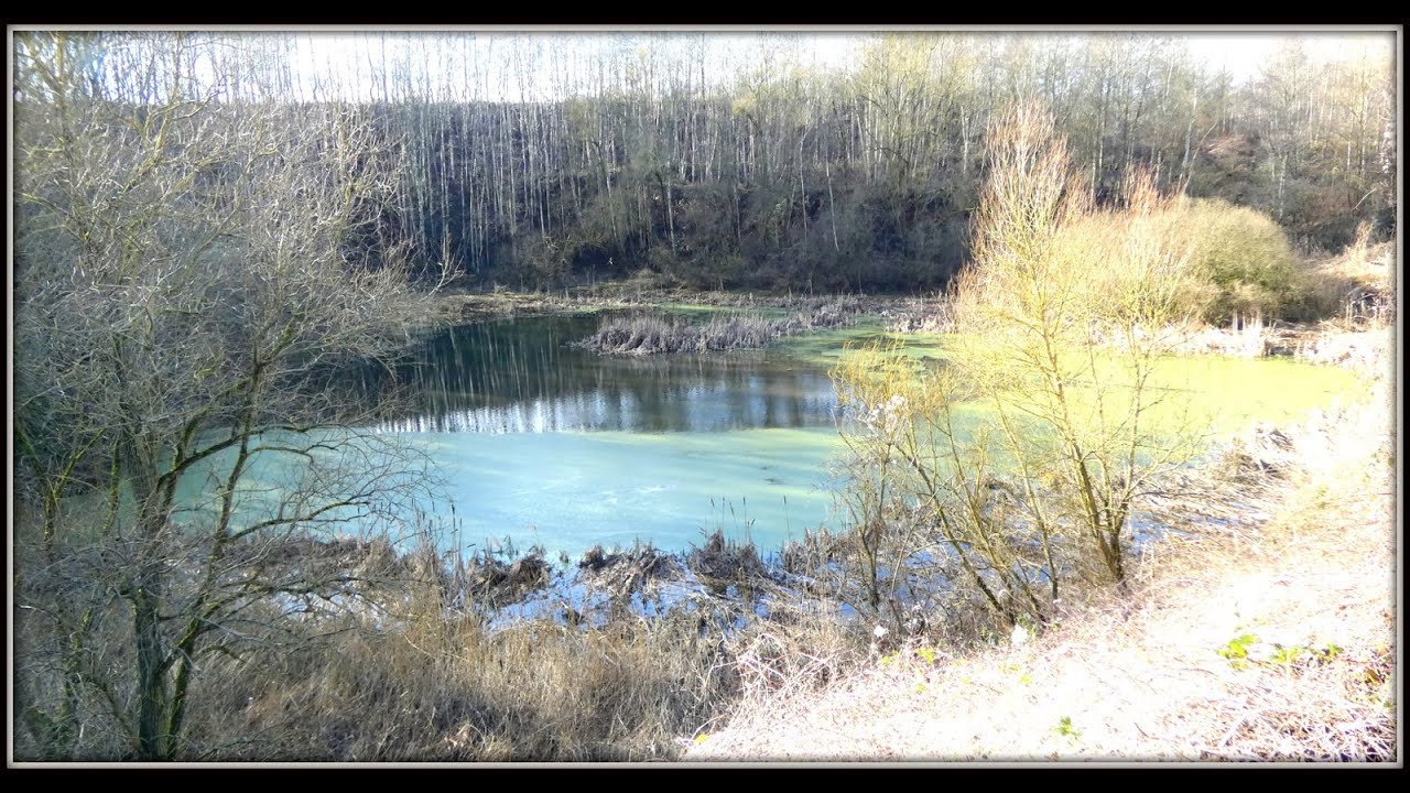 Balade Berges Scarpe & Terril de Germignies Sud n°256