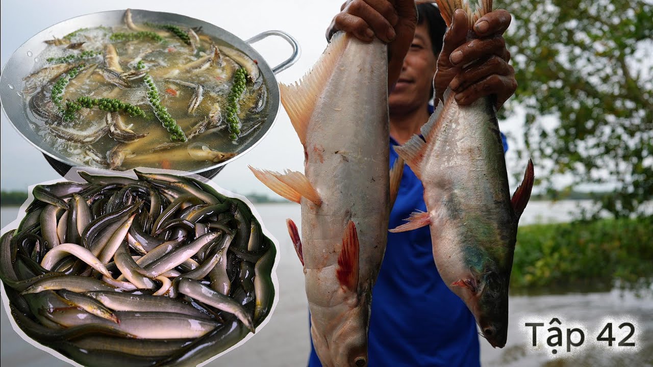 cuộc sống 