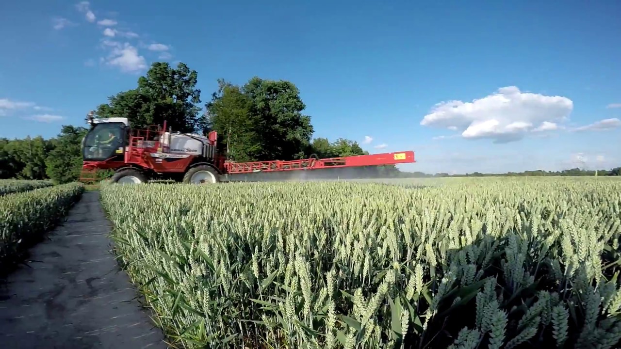 Wieczorny Zabieg T3 w pszenicy ozimej Bargam Grimac 2000 w akcji GR Moskowicz