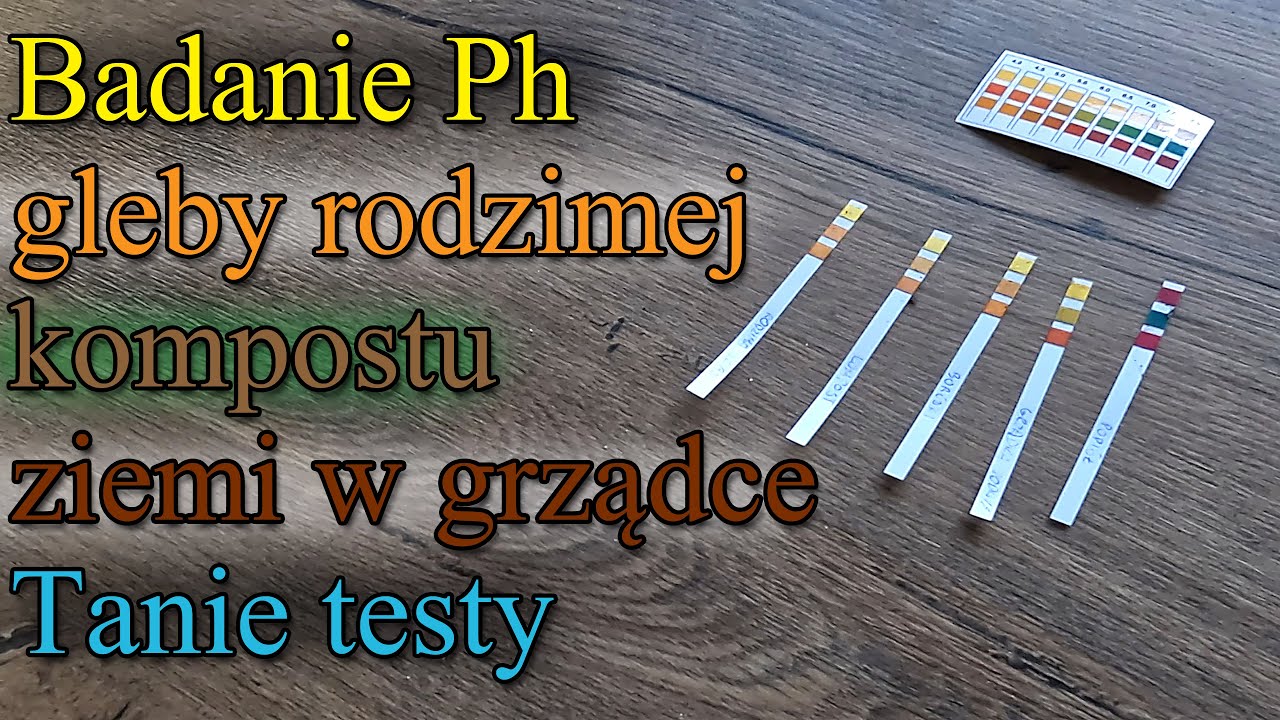 Badanie ph gleby rodzimej i wytworzonej w ogrodzie, kompostu, pod bor&oacute;wkami i popiołu. Tanie testy.