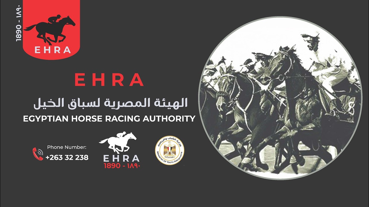 15الهيئة المصرية لسباق الخيل1890 الحصان كيان Kayan موسم سباقى135 موسم شتاء2026/2025