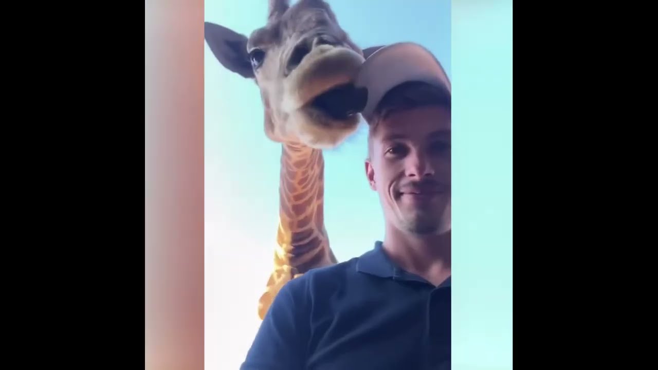 Animals Teach Us: Love Is the Key to Happines!