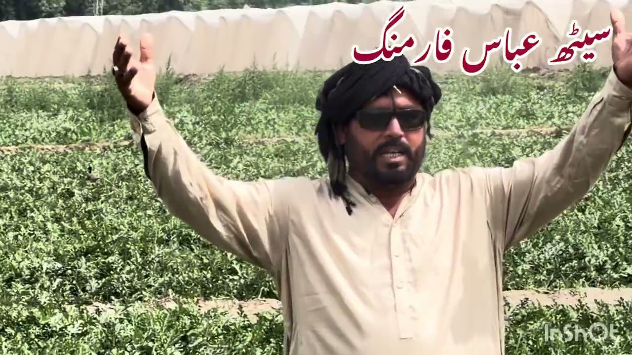 سیٹھ عباس صاحب کرور پکا مے آپنے کھیتوں مے دورہ کرتے ہوئے عقیلبھائی کے پاس 