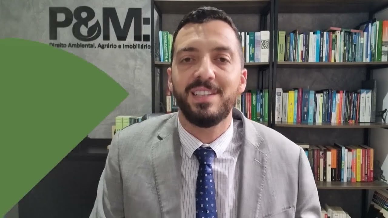 SUPRESSÃO VEGETAL: SAIBA AS EXIGÊNCIAS PARA FICAR DENTRO DA LEI