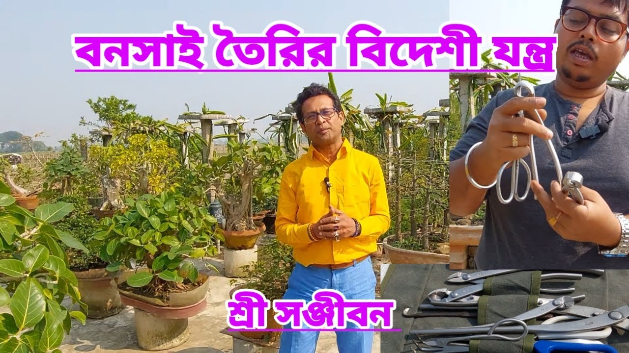 বনসাই তৈরির বিদেশী যন্ত্র||Bonsai Making Imported Tools||Shree Sanjiban||