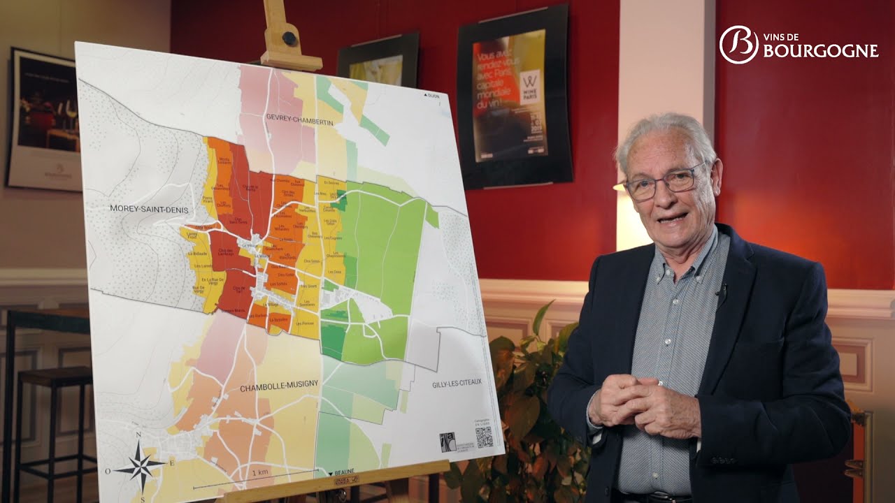 L'appellation Morey Saint Denis décryptée au travers de sa géologie et de sa géographie