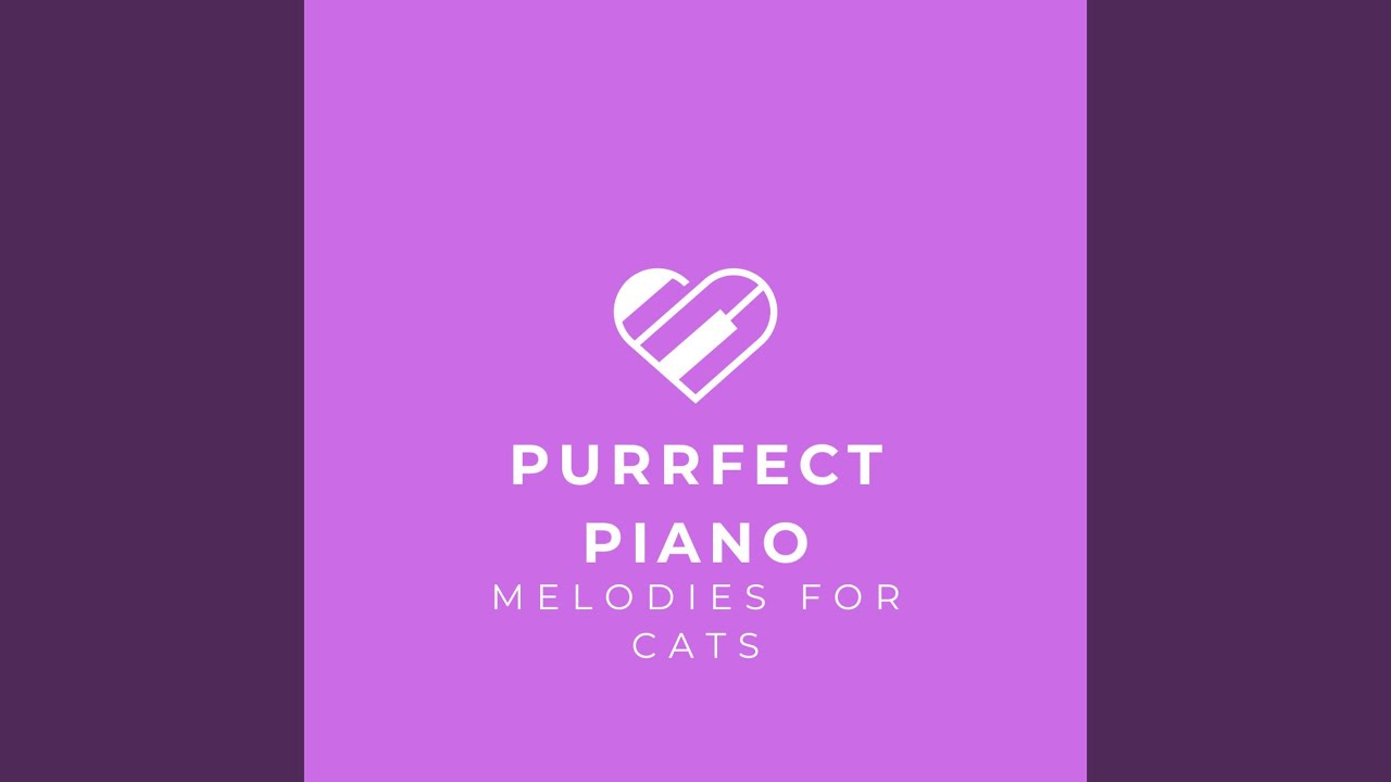 Purrfect Piano Rhythm