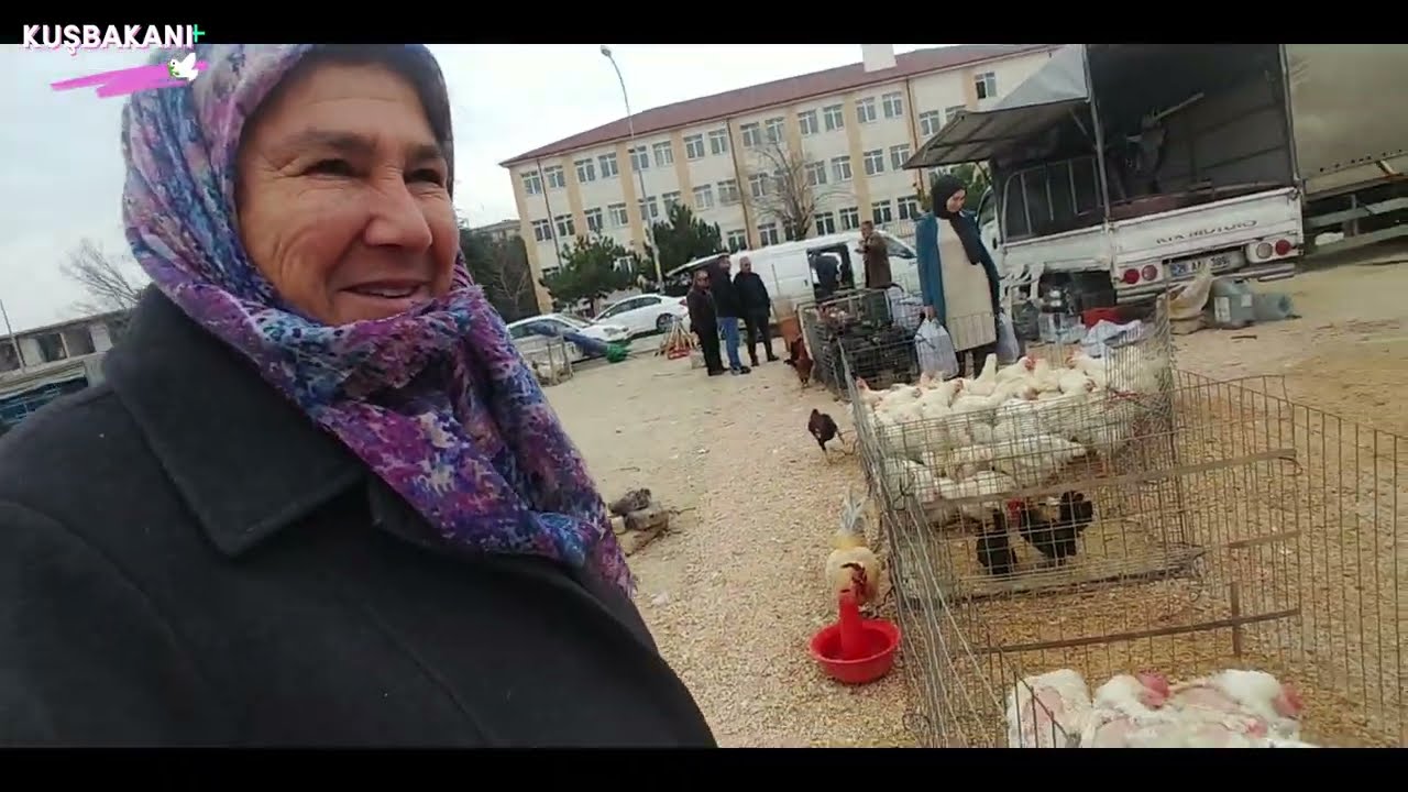 ESKİŞEHİR KANATLI HAYVAN PAZARI #pigeon #birds #animals #güvercin #26