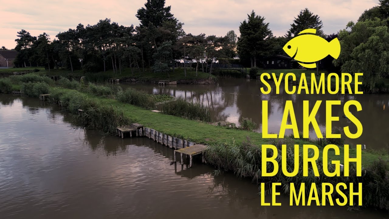 Sycamore Lakes: A Gem in Burgh le Marsh