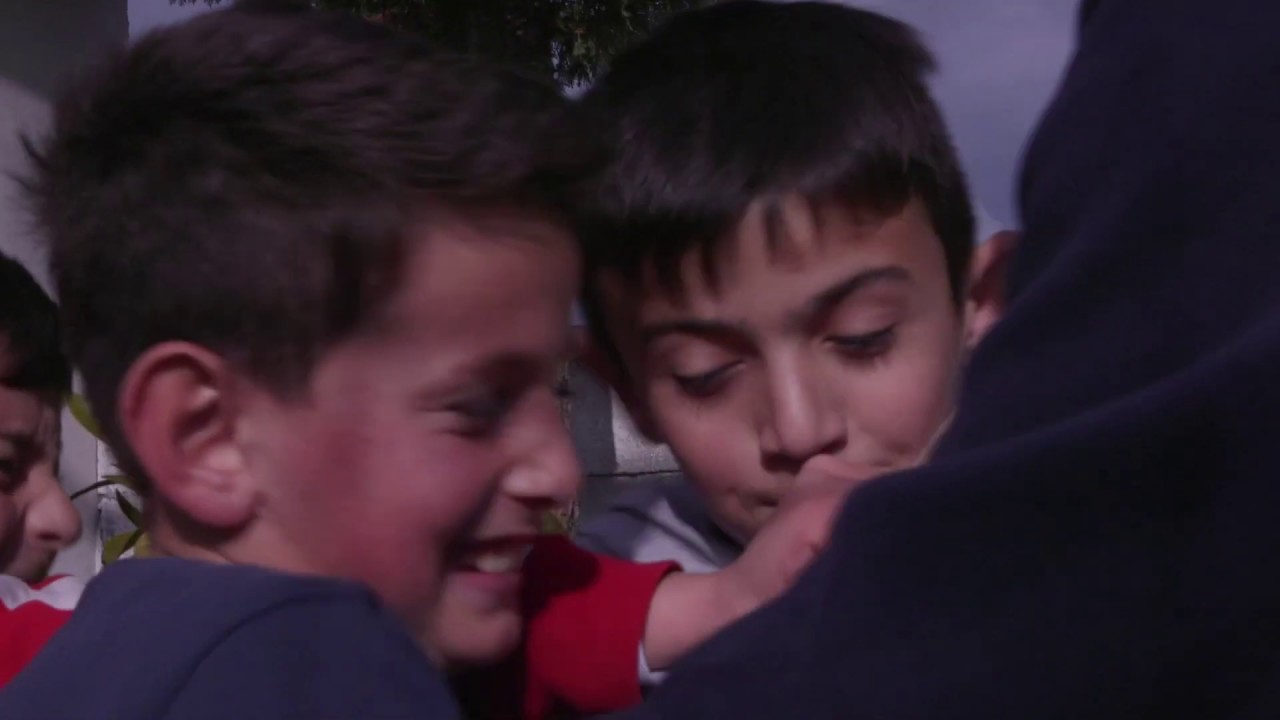 Wasim Kempson - 🥊 They were FIGHTING for food 🥊