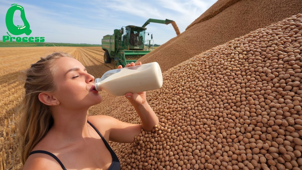165 Tons of SOYBEANS Produced by Brazilian Farmers - Brazilian Farming