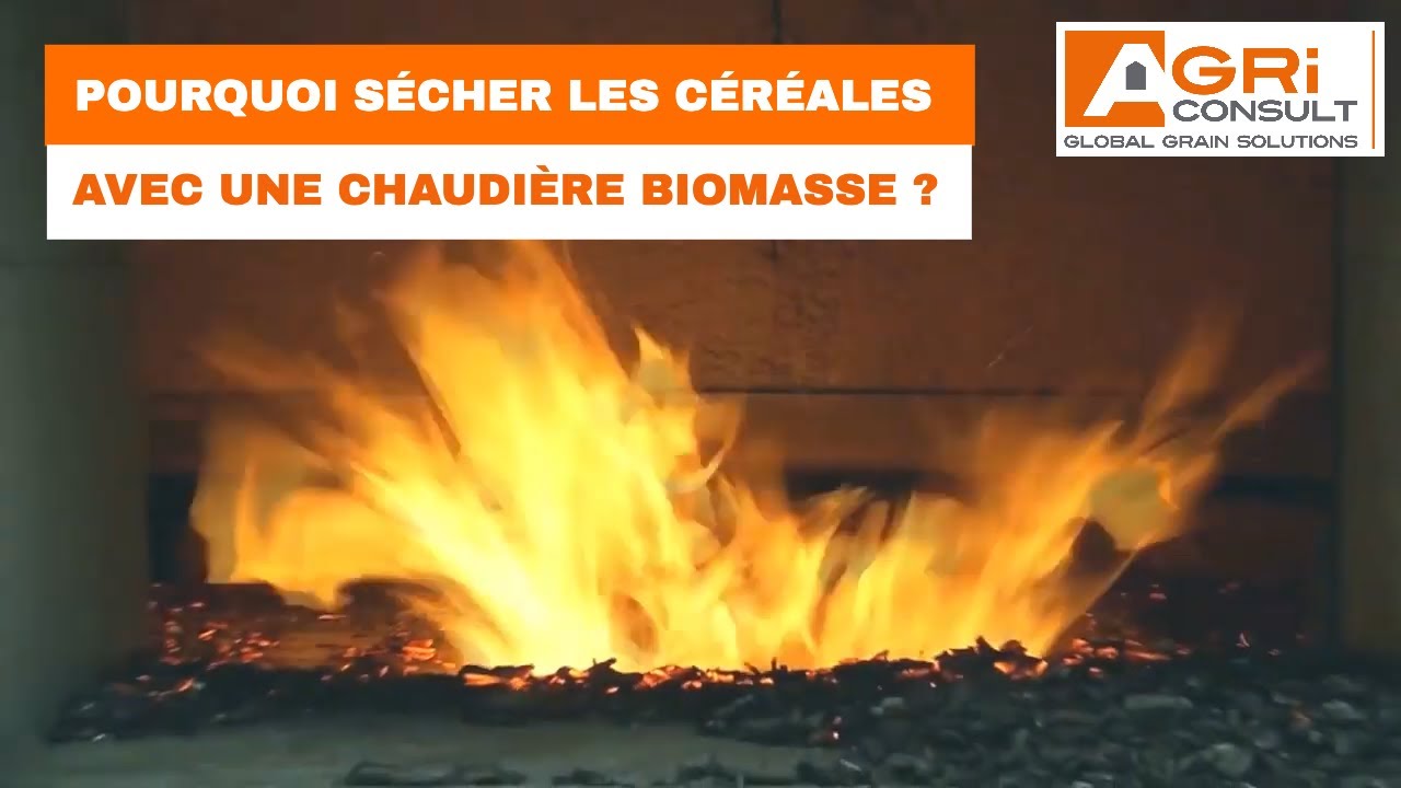 Pourquoi sécher les céréales avec une chaudière biomasse ?