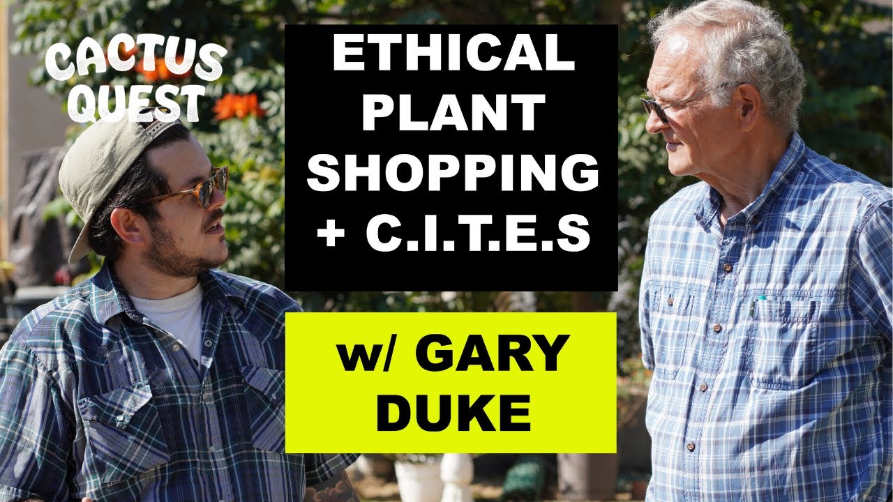 Gary Duke: Ethical Plant shopping; How to avoid buying poached plants #ariocarpus #copiapoa