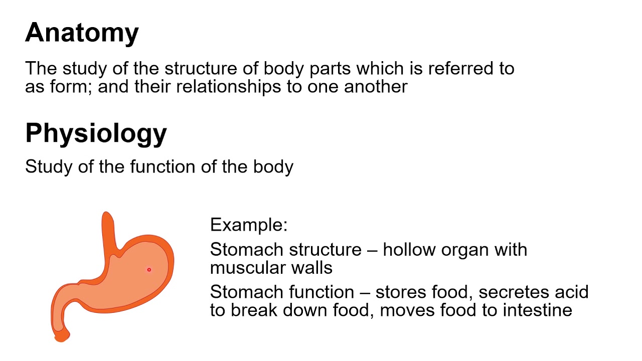 Chapter 1A   Introduction and the Principle of Complementarity