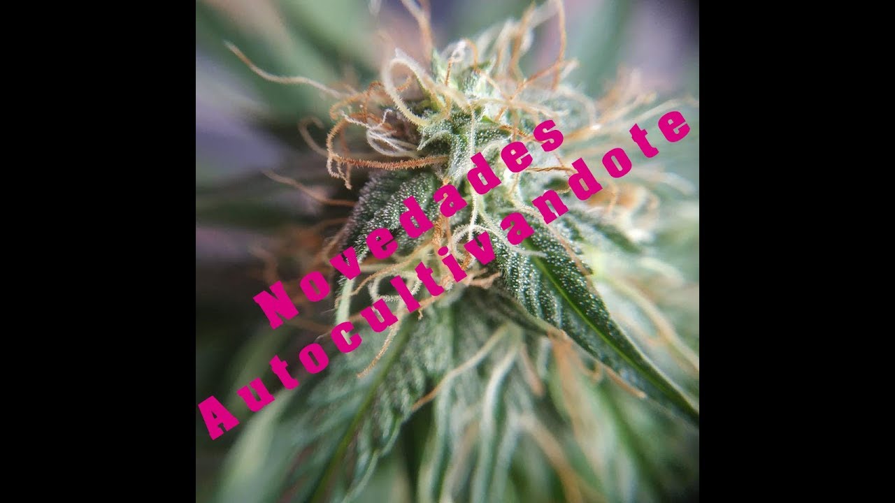 Lo que se viene en Autocultivandote
