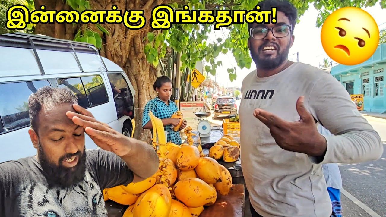 ஒரே அலைச்சல்! 😒 Van Life Update | Tamil Vlogs | Alasteen Rock